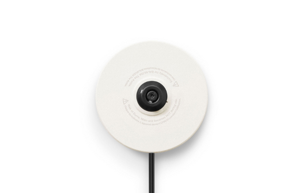 White the kettle, heating base