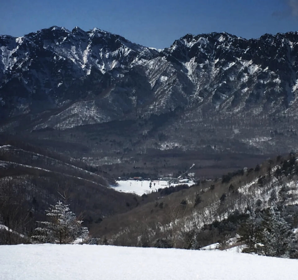 Snow-covered mountain range under a clear blue sky, with a forested valley and ski slopes visible in the distance.