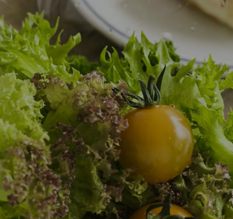 A fresh mix of green and red leaf lettuce with a yellow cherry tomato in focus, sitting on a table near a white plate.