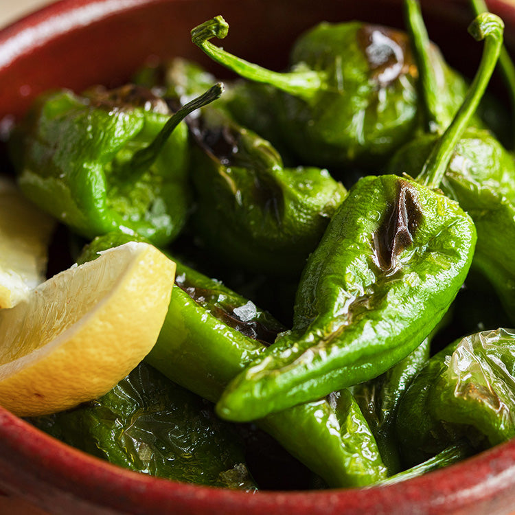 The Toaster Pro – BALMUDA USA