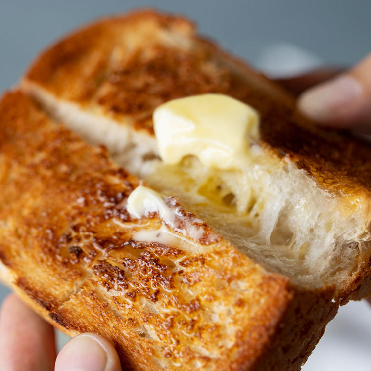 The Toaster Pro – BALMUDA USA