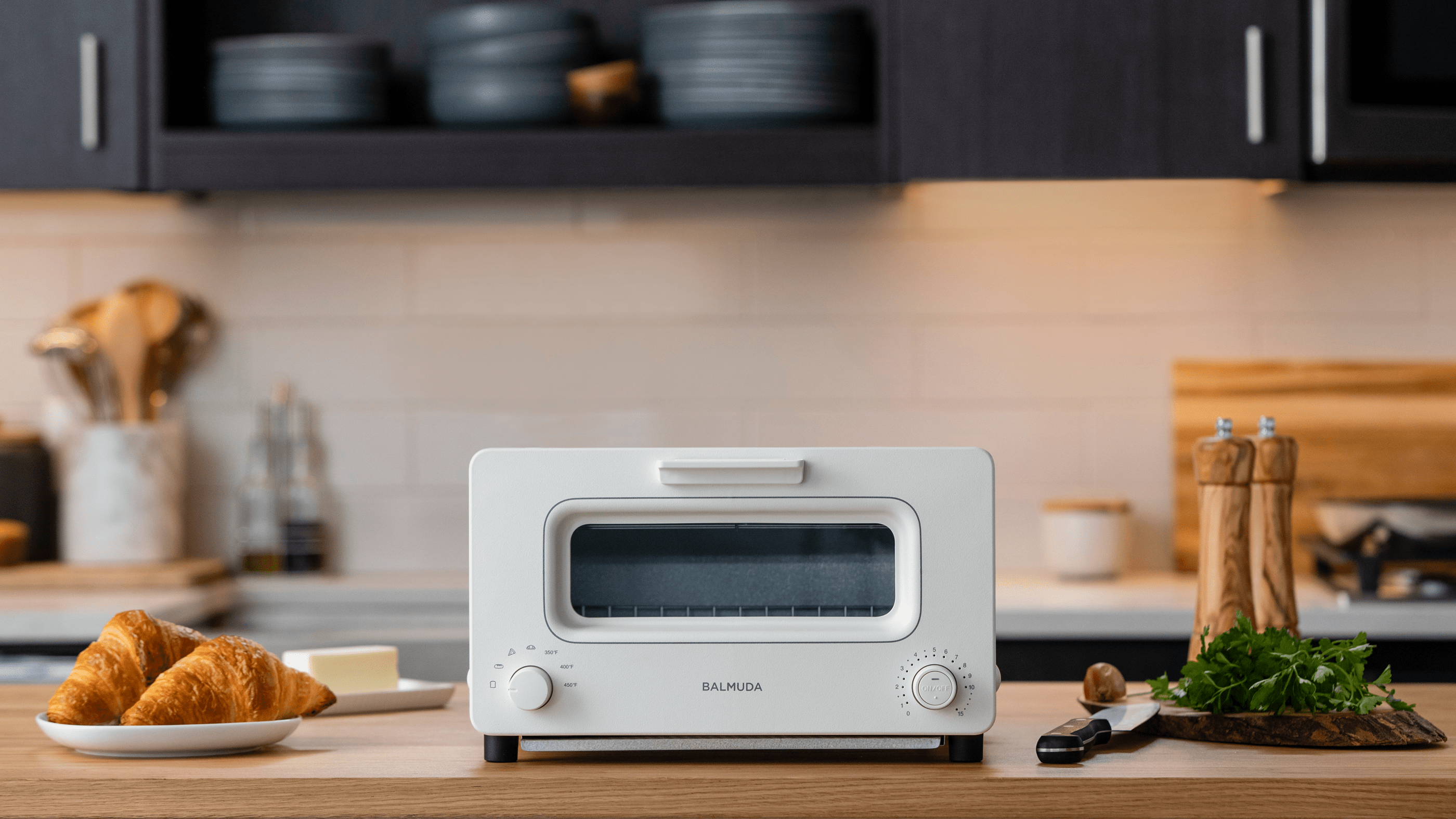 BALMUDA The Toaster Steam Toaster Black K05A-BK – WAFUU JAPAN