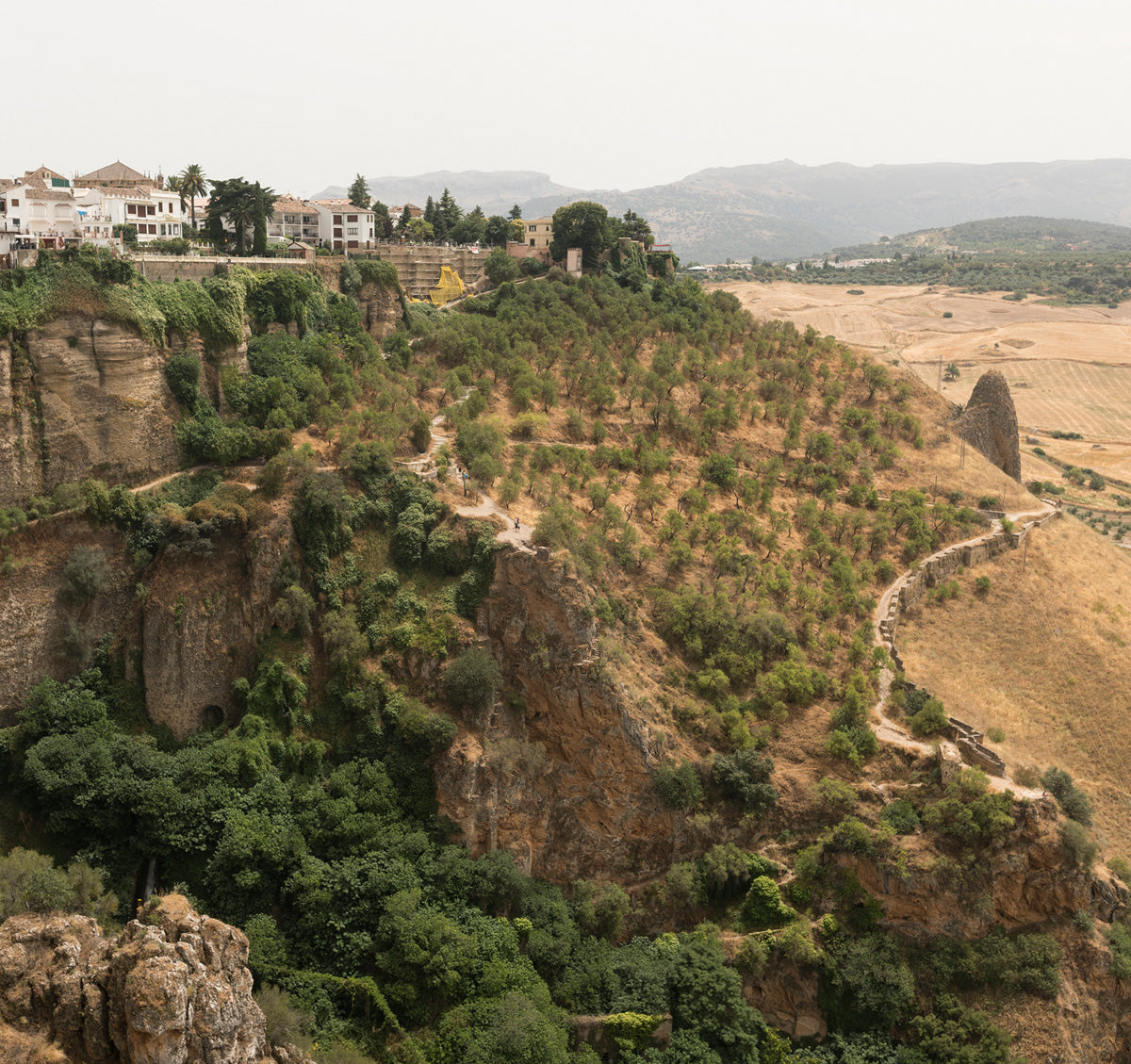 The Toaster Pro – BALMUDA USA