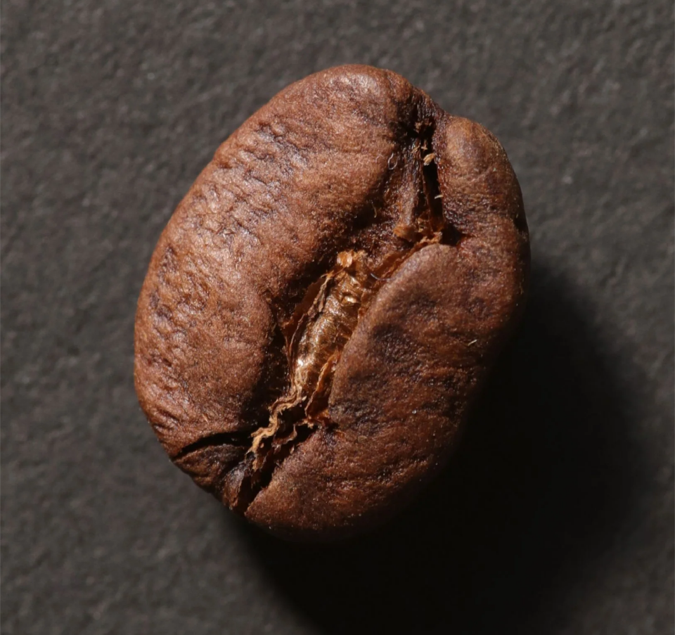 Brew – BALMUDA USA Brew – BALMUDA USA