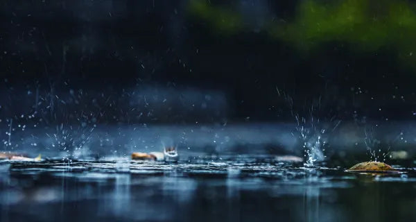 Long Rain